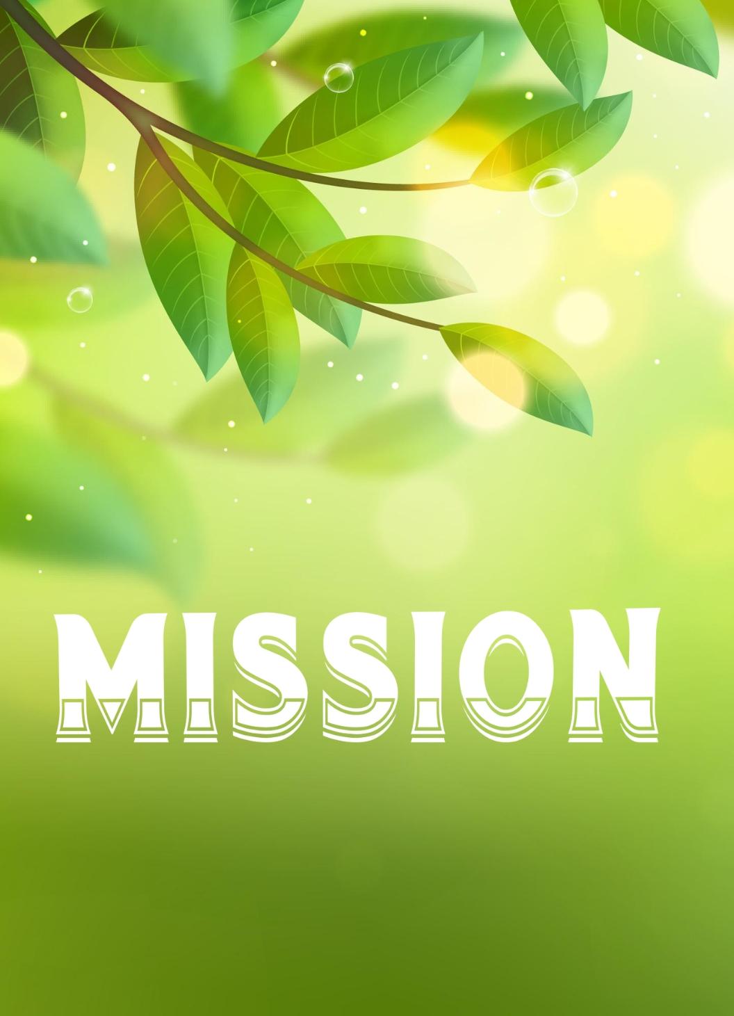  Mission of Ayurillam