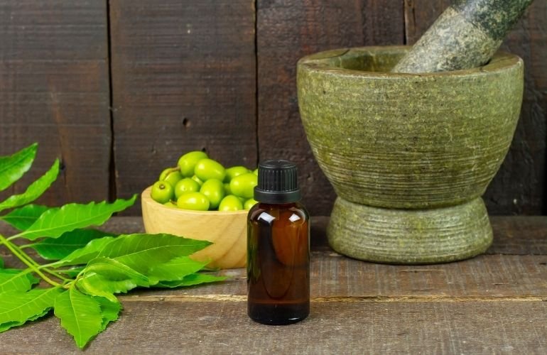 Best Ayurvedic Spa in Chennai